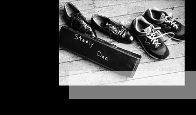 Steely Dan On Tour